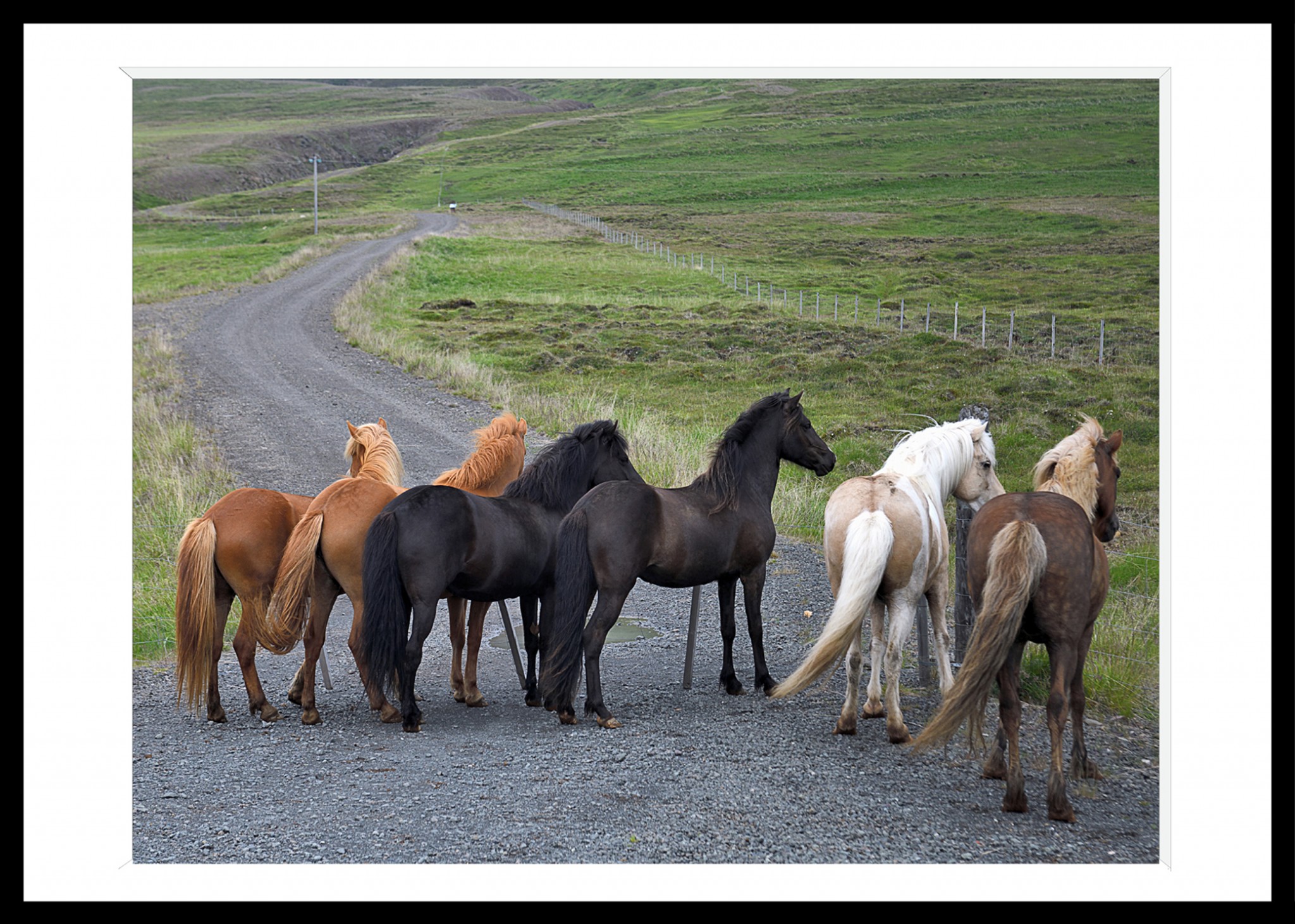 324_opg_20180701_Islande_0001.jpg