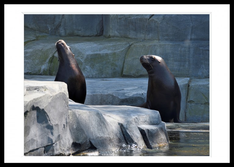 305_opg_20180424_Paris_Zoo_0002.jpg