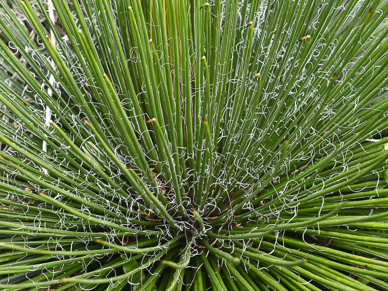VonNaturAusAbstrakt_Purchase_DE VonNaturAusAbstrakt_Purchase_DE