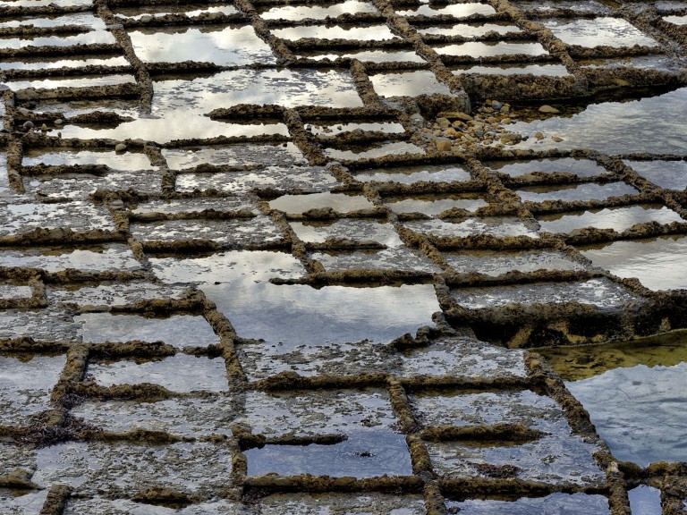 AbstractByNature_Purchase_EN