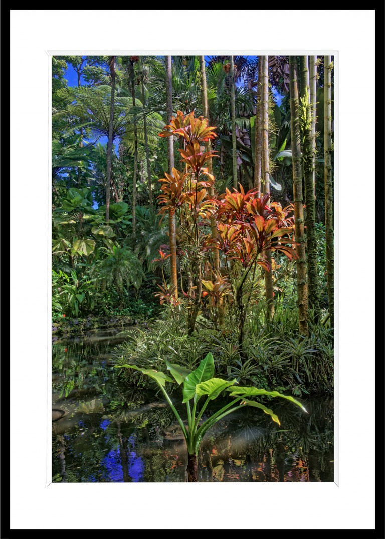 Decoration_Photos_Faune_Flore Decoration_Photos_Faune_Flore