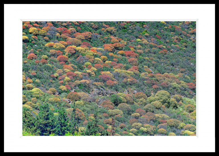 Decoration_Photos_Paysages Decoration_Photos_Paysages