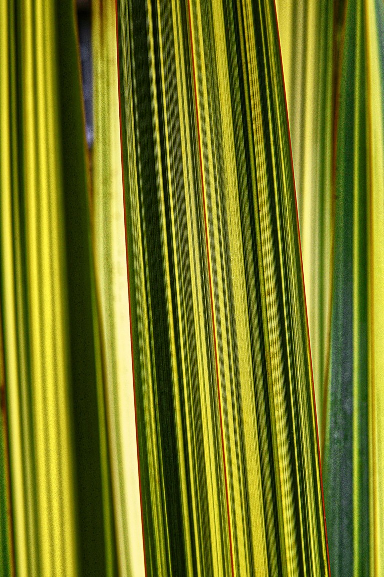VonNaturAusAbstrakt_Purchase_DE VonNaturAusAbstrakt_Purchase_DE
